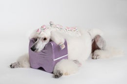 KUIVAUSTYYNY SHOW TECH