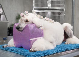 KUIVAUSTYYNY SHOW TECH